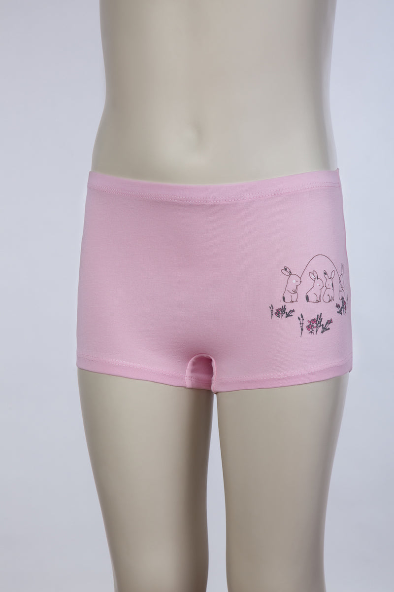 B91xZ Kids Children Girls Underwear Cute Print Briefs Shorts Pants Cotton  Underwear Trunks 3PCS Underwear Girls,White 18-24 Months